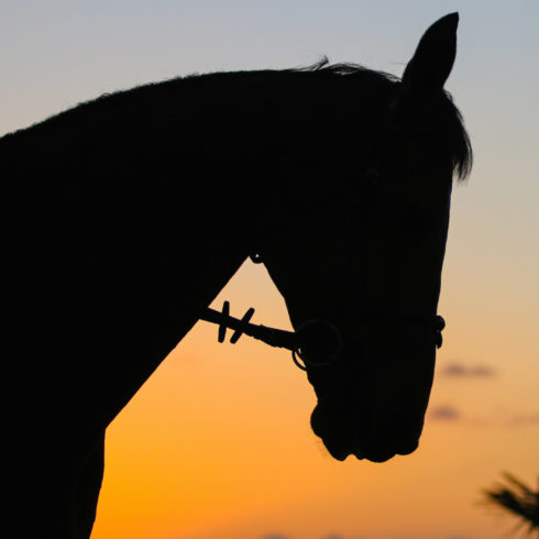 Hello Sanctos Miami Beach 2015