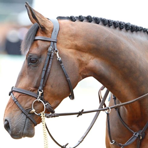 Scott Brash Hello Mr President Chantilly 2015