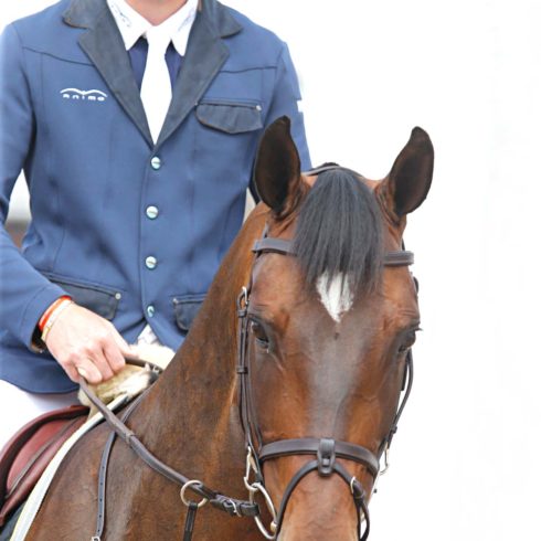 Scott Brash Hello Mr President