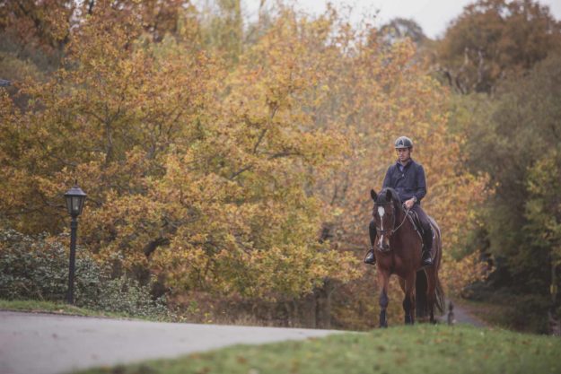 Scott Brash Hello Senator at home 2020