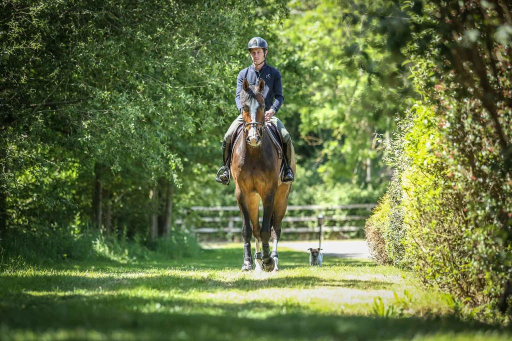 Scott Brash and Hello Shelby