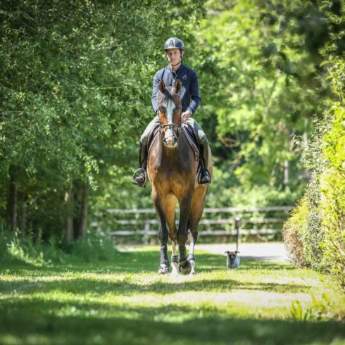 Scott Brash and Hello Shelby